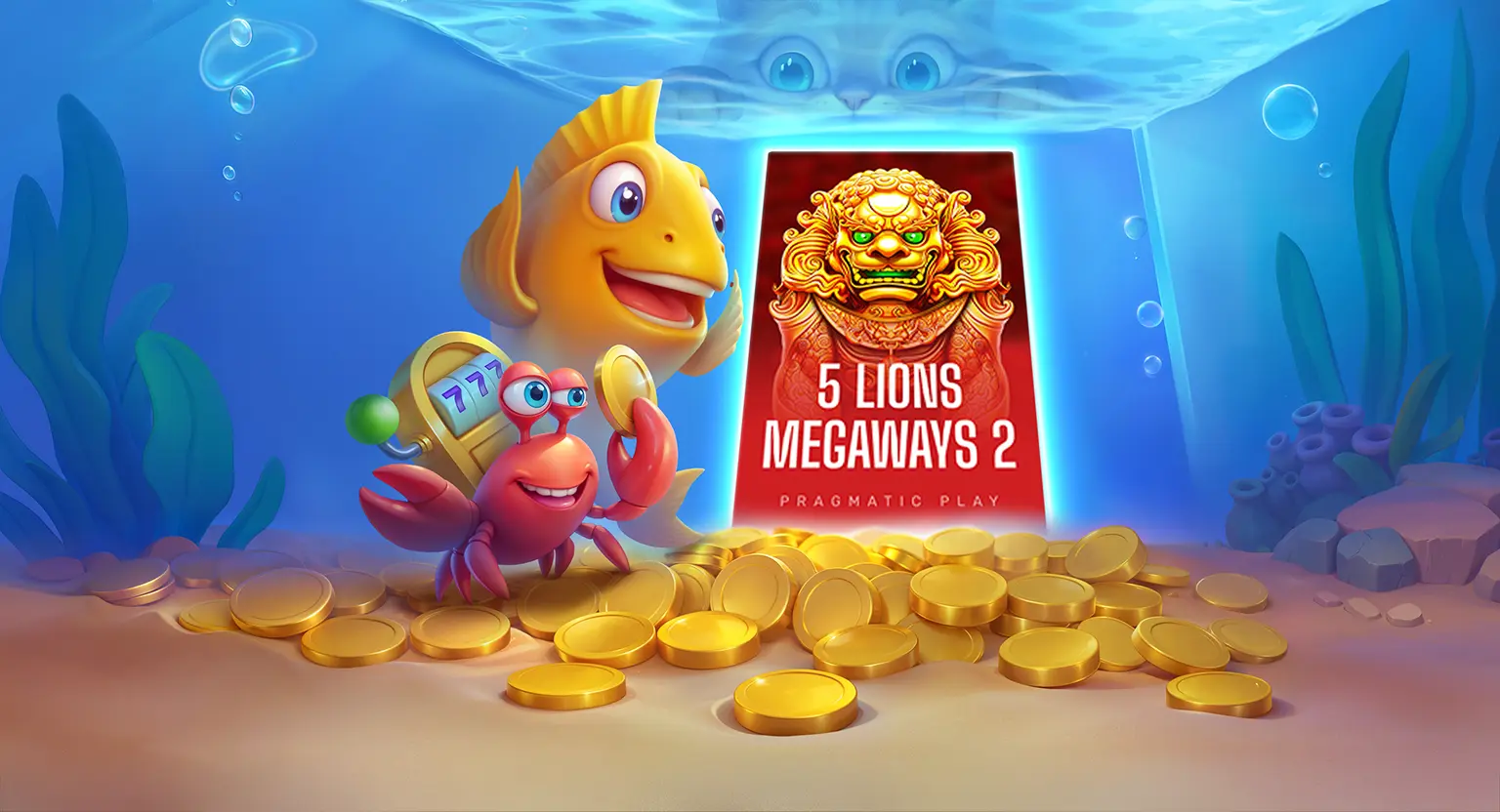 Spinfin bietet faire bonusbedingungen und transparente gewinne